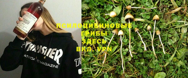 ALPHA PVP Белокуриха