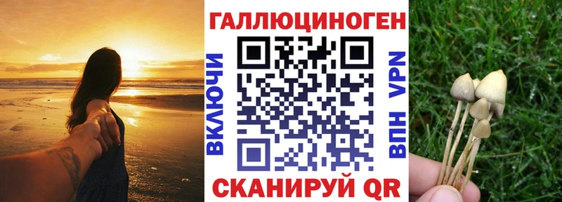 Псилоцибиновые грибы MAGIC MUSHROOMS Яранск