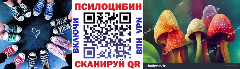 Псилоцибиновые грибы Psilocybe  KRAKEN как войти  Яранск 
